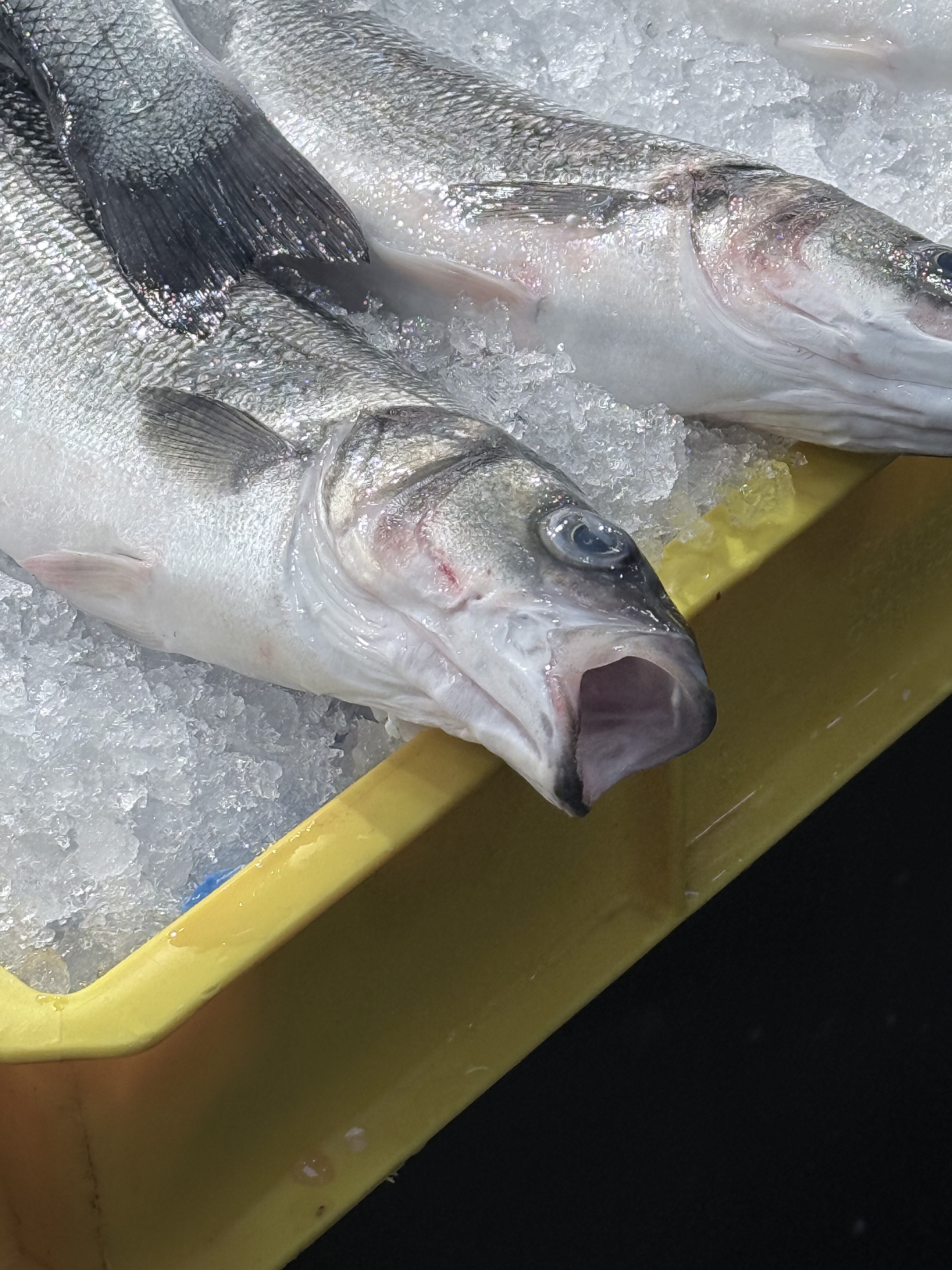 Fish on ice, close-up showing texture and temperature